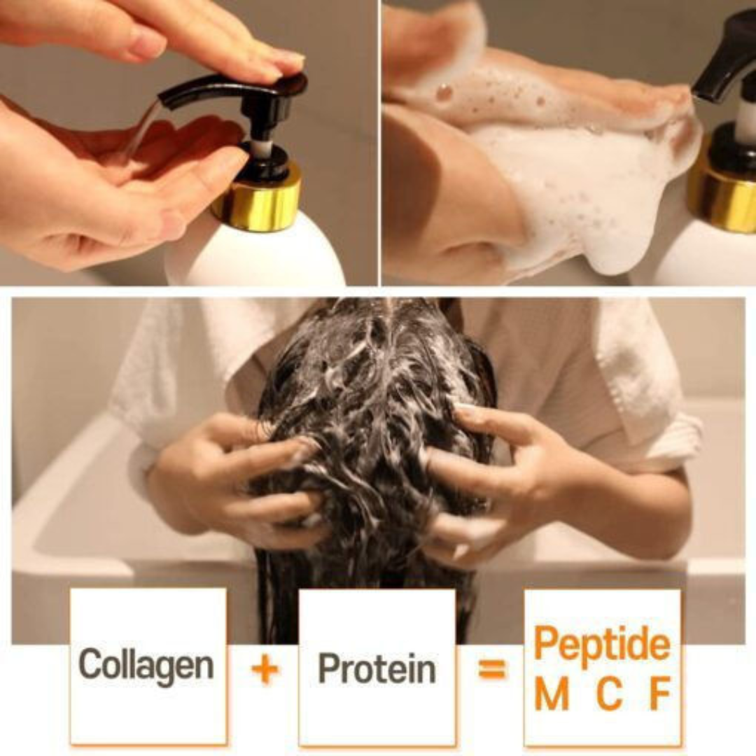 CER-100 Collagen Coating Hair Muscle Shampoo 500ml